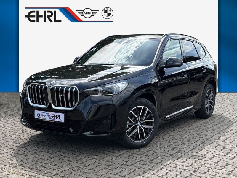 BMW X1 xDrive25e U11 XB2 M Sportpaket DAB LED RFK