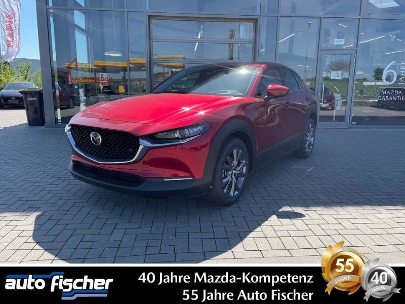 Mazda CX-30 2.5 (140PS) Autom. Takumi Leder-S 360* Car