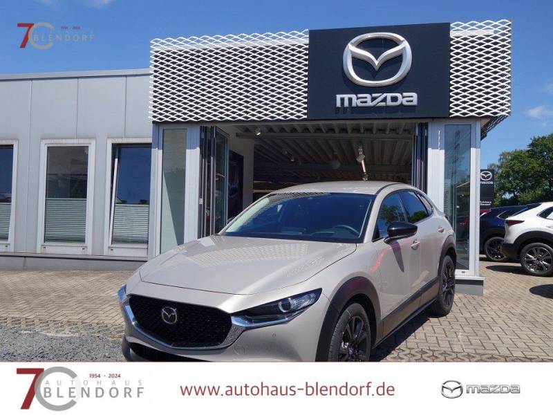 Mazda CX-30 Homura 140 Automatik Alexa-LED-Kamera