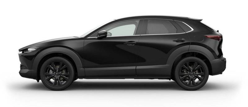 Mazda CX-30 HOMURA 2.5L 140PS AT NAVI KAMERA HUD ALEXA