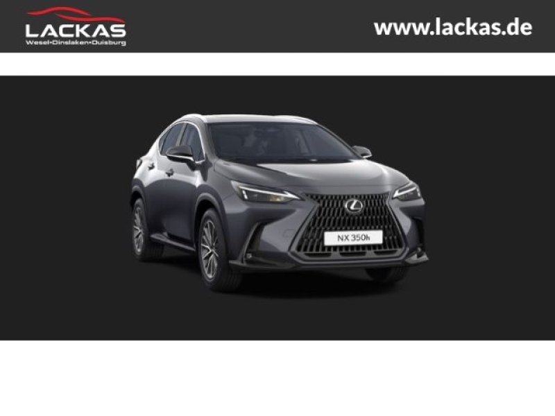 Lexus NX 350h Business Connect - Paket
