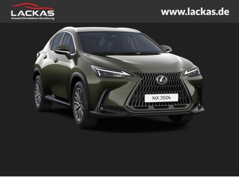 Lexus NX 350h EU6d Business Connect - Paket