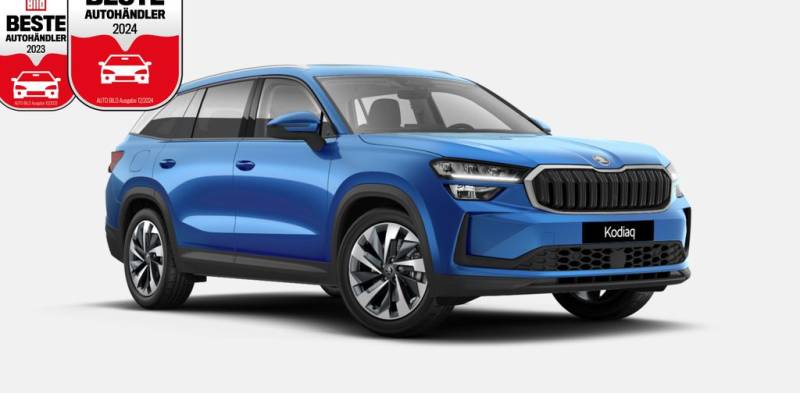 Skoda Kodiaq 2.0 TDI 4x4 DSG+PANO+NAV+HUD+AHK+7S+CAM