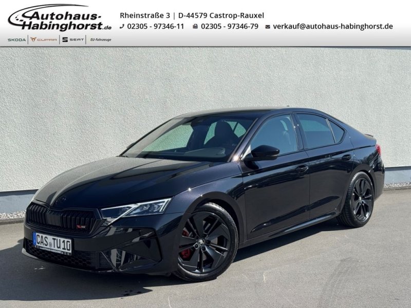 Skoda Octavia IV 2.0 TSI DSG RS AHK Standhzg Canton Na