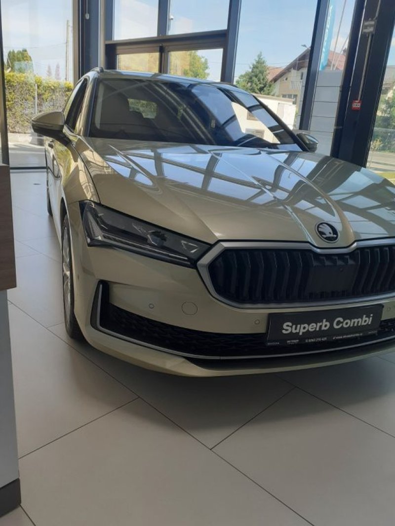 Skoda Superb 2.0 TDI/DSG 4x4 Selection /360/Winter