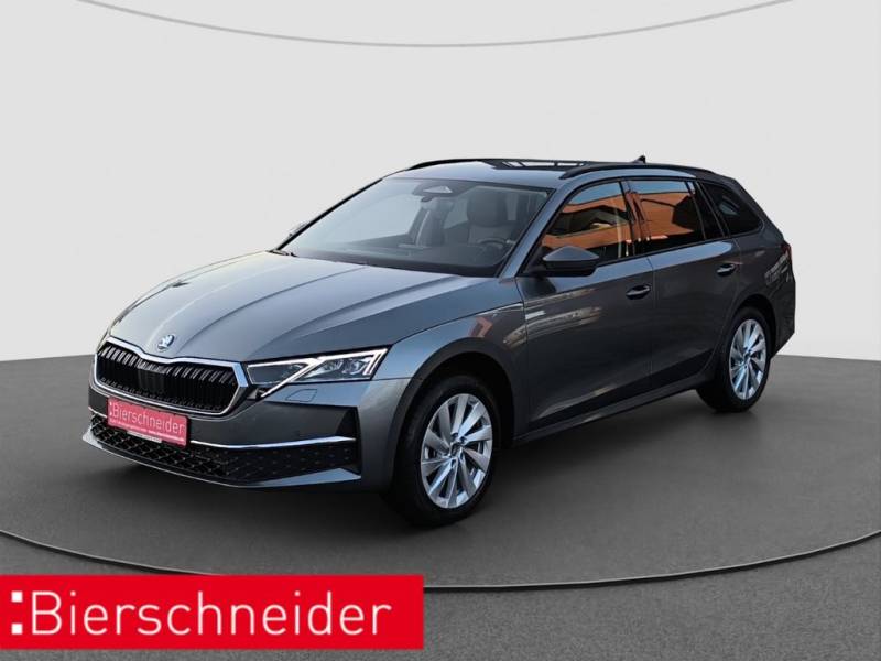 Skoda Octavia Combi 2,0 TDI DSG Selection AHK NAV RFK 