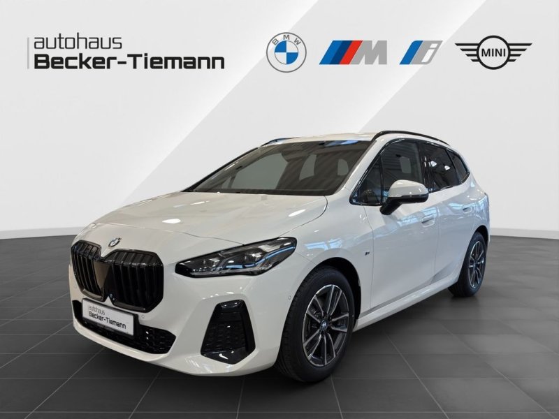 BMW 218i M-Sport Adapt.LED Kamera AHK