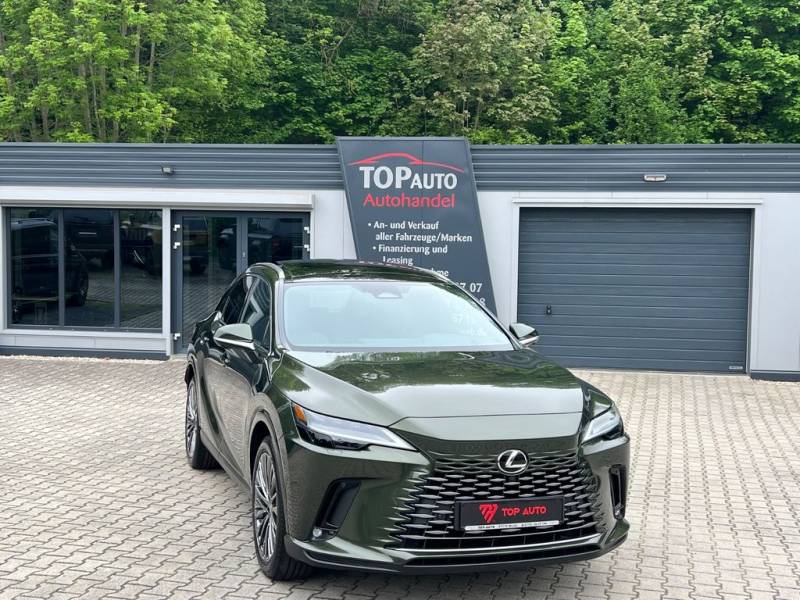 Lexus RX 450h+E-Four Luxury.360 Kamera.AWD.P.Dach.ACC