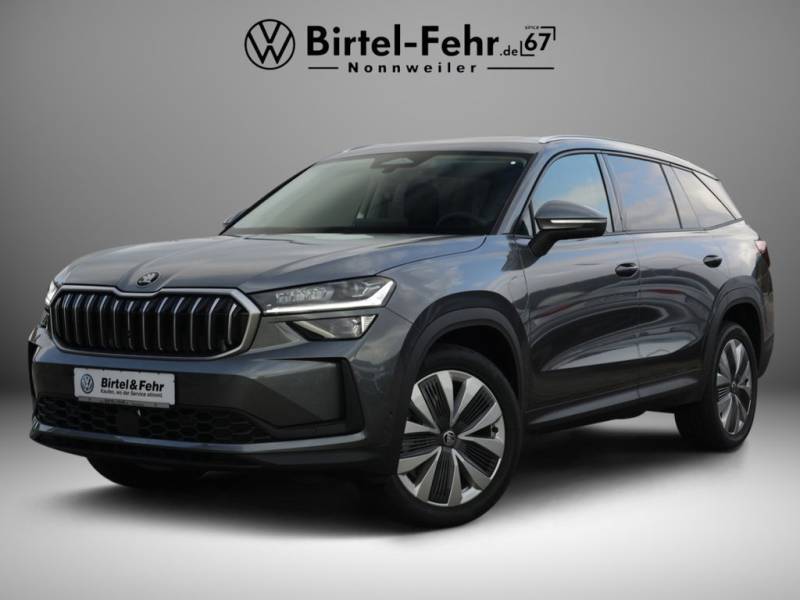 Skoda Kodiaq Selection 2.0 TDI 4x4 DSG LED AHK Kamera