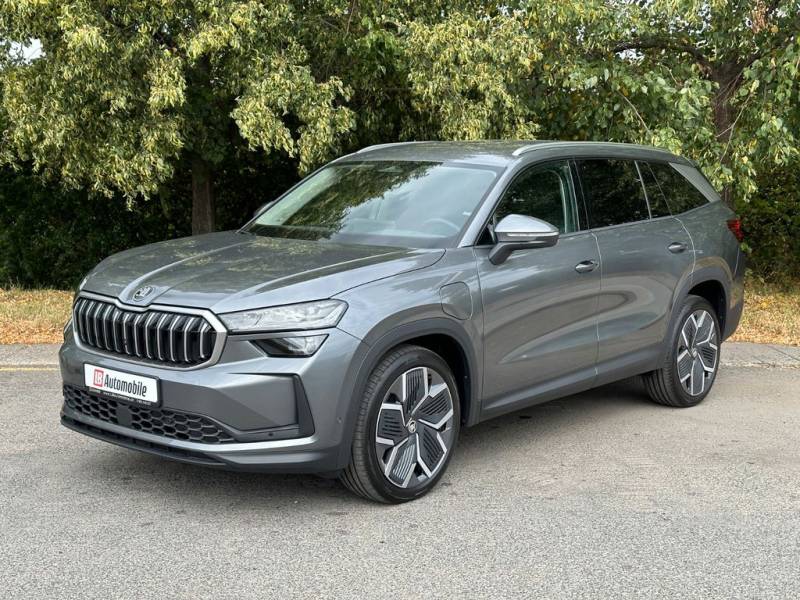 Skoda iV Exclusive Leder NAVI DCC eHK Matrix LM20"AHK