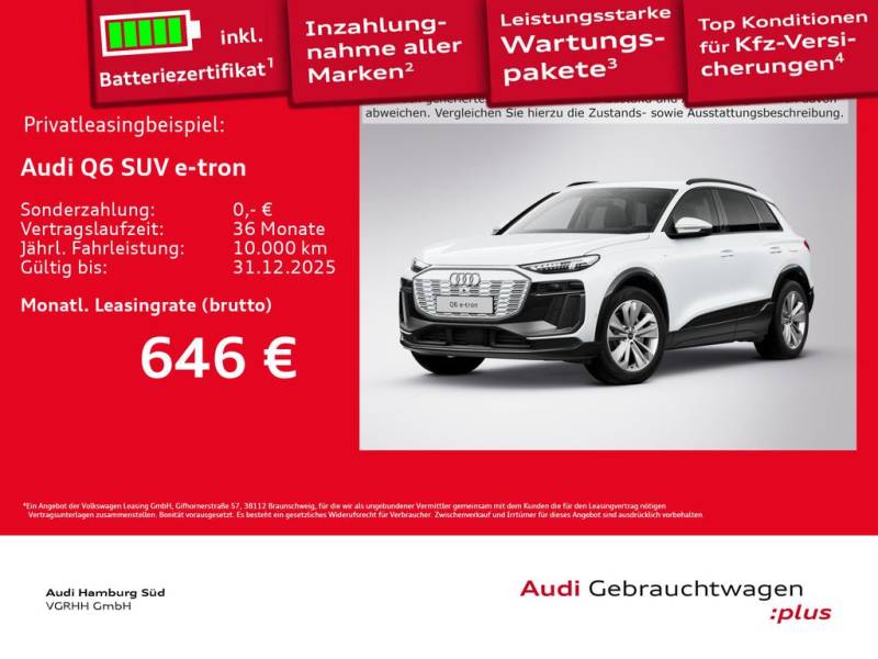 Audi Q6 e-tron S line NAVI/LED-PLUS/LM20/ACC/360°