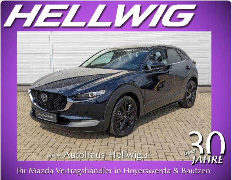 Mazda CX-30 2.5l (140PS) Homura Kamera Navi Head-up