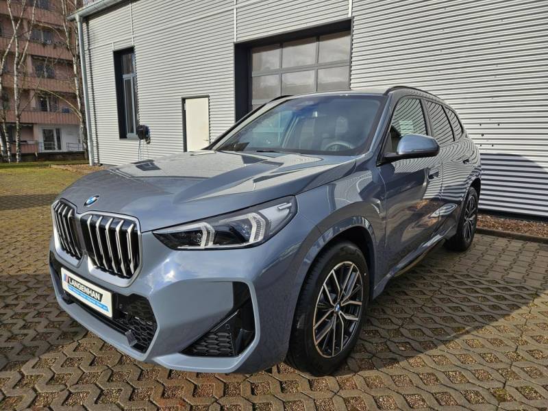 BMW X1 sDrive20i M Sport Pano AHK Lenkradheizung