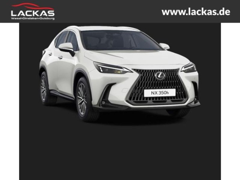 Lexus NX 350h EU6d Business Connect - Paket