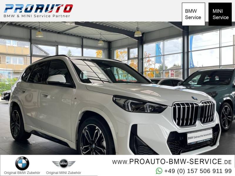 BMW X1 18i sDrive M Sport AHK/PANO/K.Zg/19°