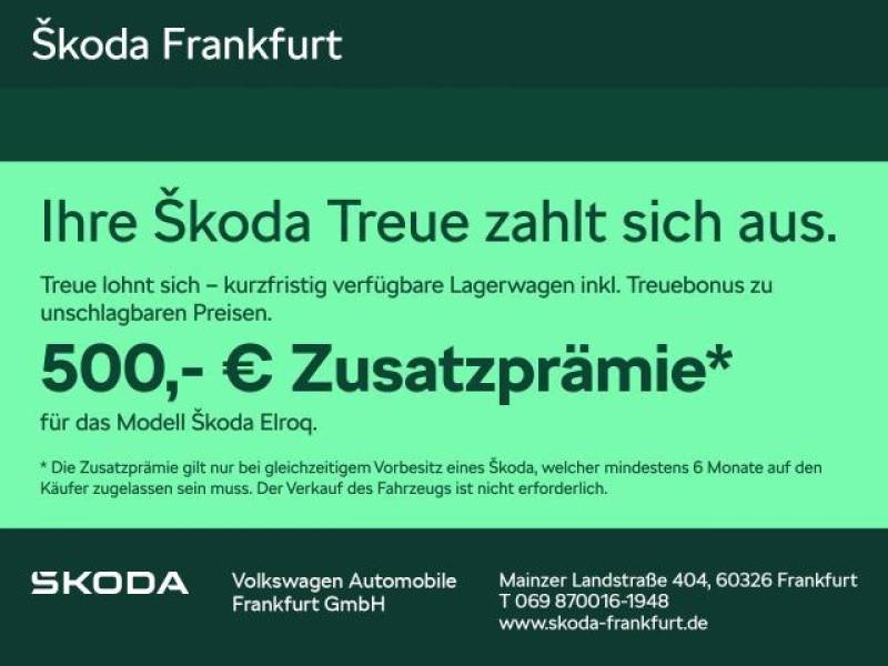 Skoda Elroq 50 Tour 55 kWh Batterie Elektromotor 125 k