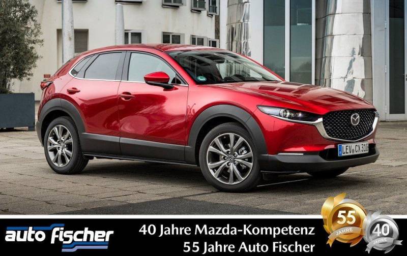 Mazda CX-30 2.0 (186PS) Autom. Nagisa Teilleder Rückfa