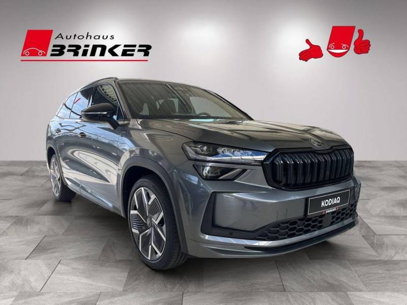 Skoda Kodiaq Sportline 2,0 TDI 110 k W 7-Gang-DSG LED