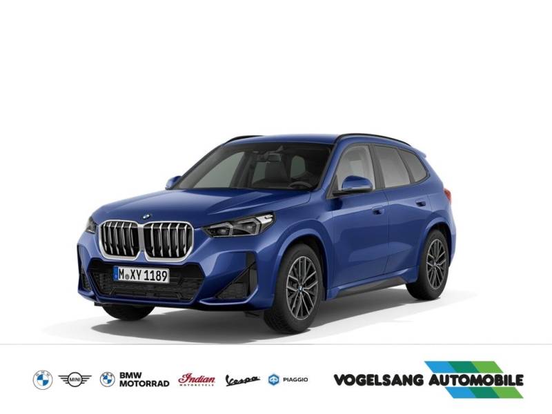 BMW X1 18i sDrive M Sport AHK Head-Up 360° harman/ka