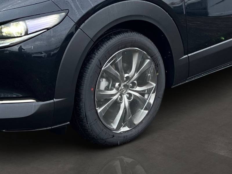 Mazda CX-30 Mazda 5WGN 2.5L e-SKYACTIV G Nagisa