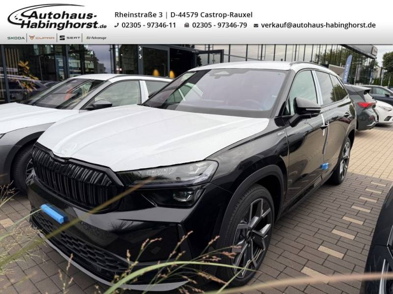 Skoda Kodiaq II 2.0 TSI DSG 4x4 Sportline AHK HeadUp M