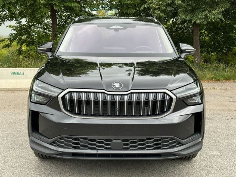 Skoda Kodiaq 2.0 TDI 4x4 142 KW DSG Exclu. Matrix AHK