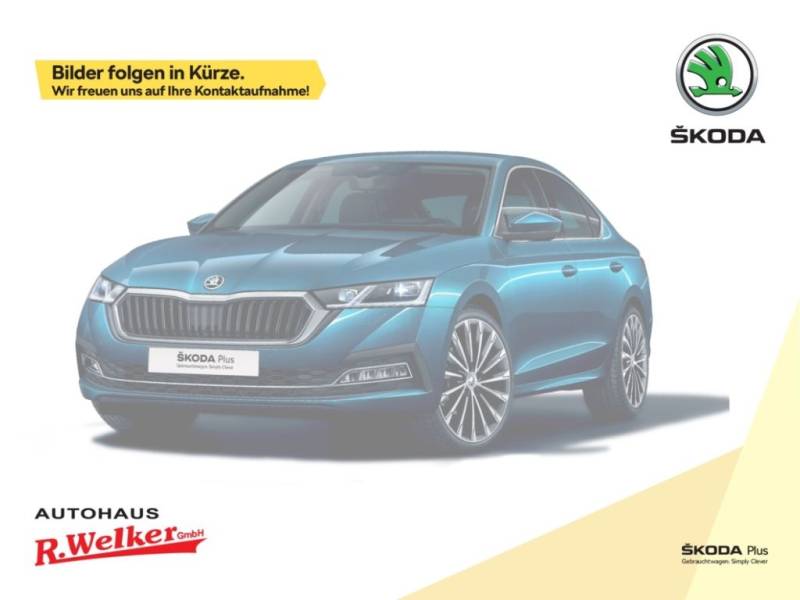 Skoda Octavia RS 2.0 TSI 195 kW ''Area-View''Infotainm