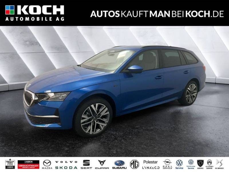Skoda Octavia Combi 2.0 TDI DSG Tour AHK Winter Martix