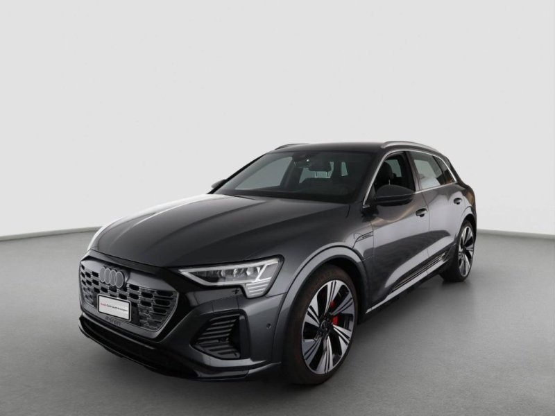 Audi Q8 e-tron S line 55 quattro ACC MATRIX NAVI 360°
