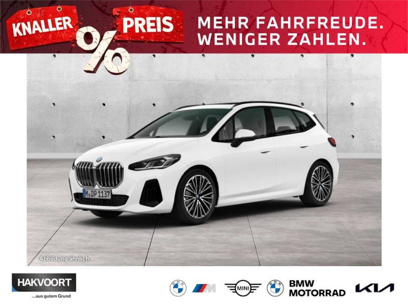 BMW 220i M Sport AHK Pano 19"