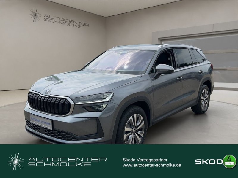 Skoda KODIAQ 2.0 TDI SELECTION*WINTER*DSG*KLIMAAUTOM.