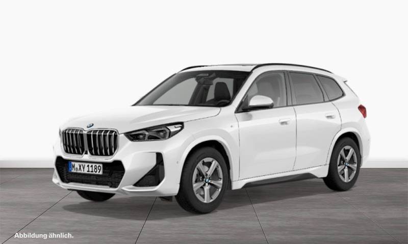 BMW X1 sDrive20i M Sport AHK Driv.Assist.Prof LED