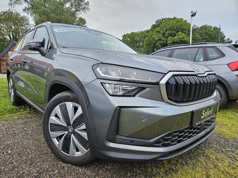 Skoda Kodiaq 2,0 TDI DSG 7-Siter el.AHK el.HK Kamera