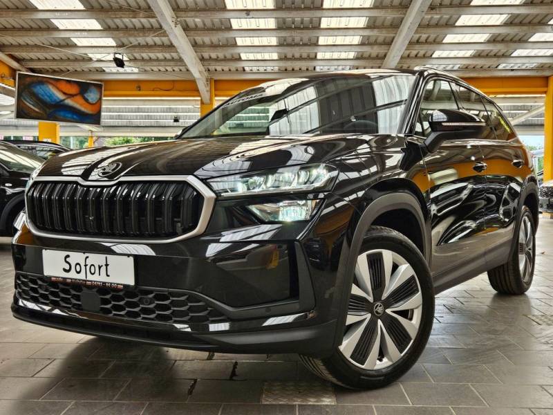 Skoda Kodiaq 2,0 TDI DSG 7-Siter el.AHK el.HK Kamera