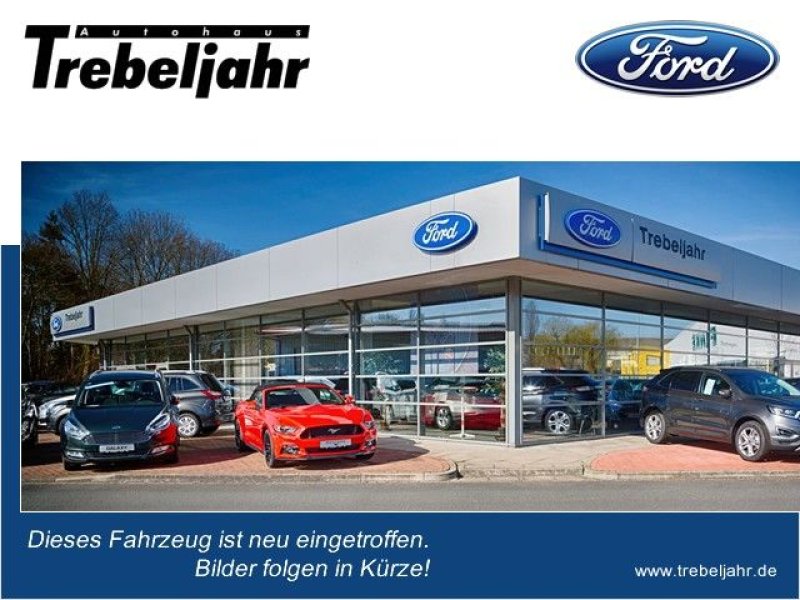 Ford Ranger 2.0 Ecoblue Wildtrak e-4WD AHK+KAMERA