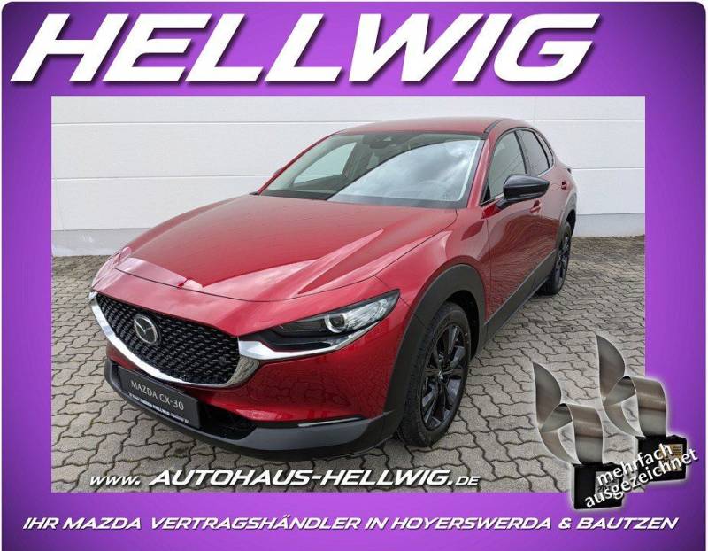 Mazda CX-30 2.5l (140PS) Homura Navi LED Kamera Head-u
