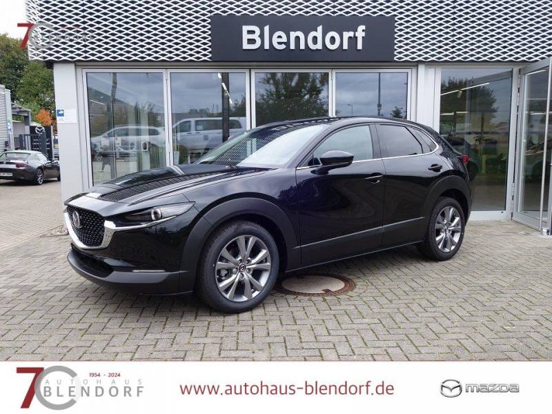 Mazda CX-30 Exclusive 140 360°-Navi-Bose