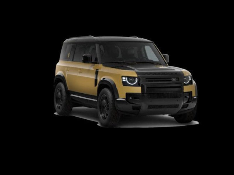 Land Rover Defender 110 D350 Trophy Edition AHK Panorama