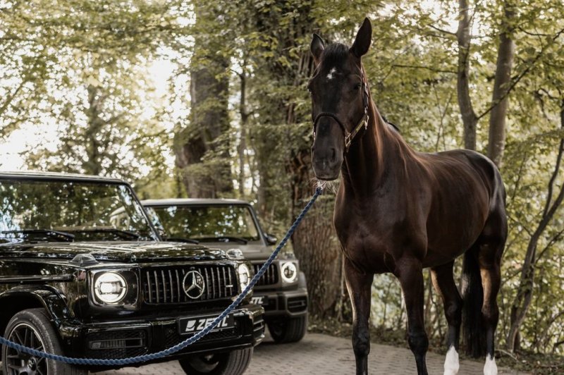 Mercedes-Benz G 63 AMG Mercedes-AMG G 63 Zettl Edition 1 of 1