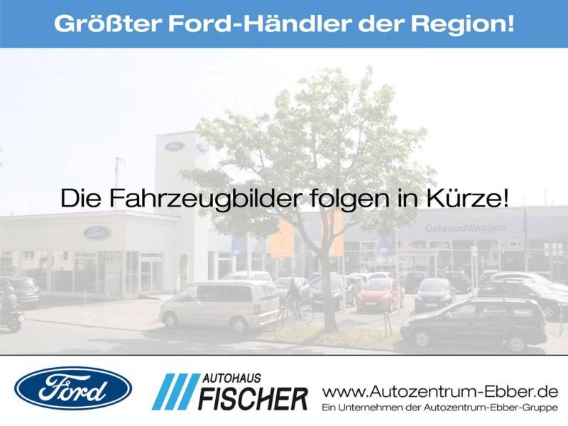 Ford Ranger Wildtrak 4WD DoKa ROLLO AHK NAVI 360 CAM