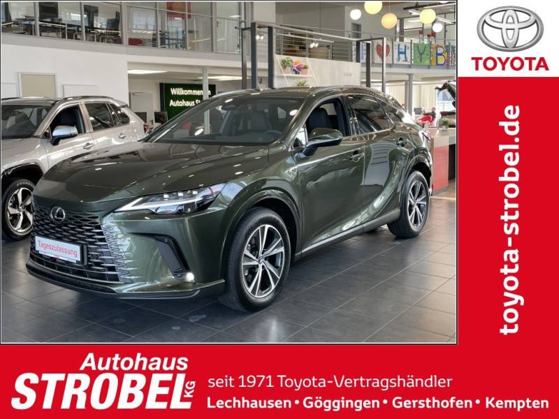 Lexus RX 350h (hybrid) Business Line *8-fach bereift*