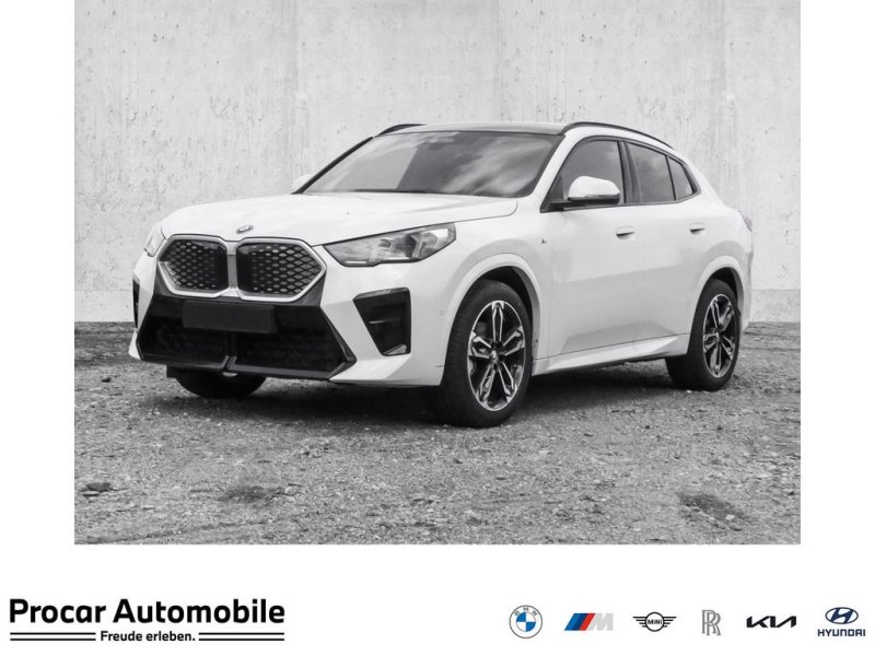 BMW iX2 eDrive20 M Sport PANO ACC RFK NAVI Standh.
