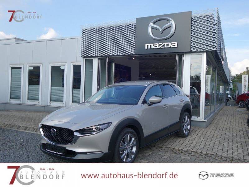 Mazda CX-30 Exclusive-Line 140 Automatik Matrix-LED-BO