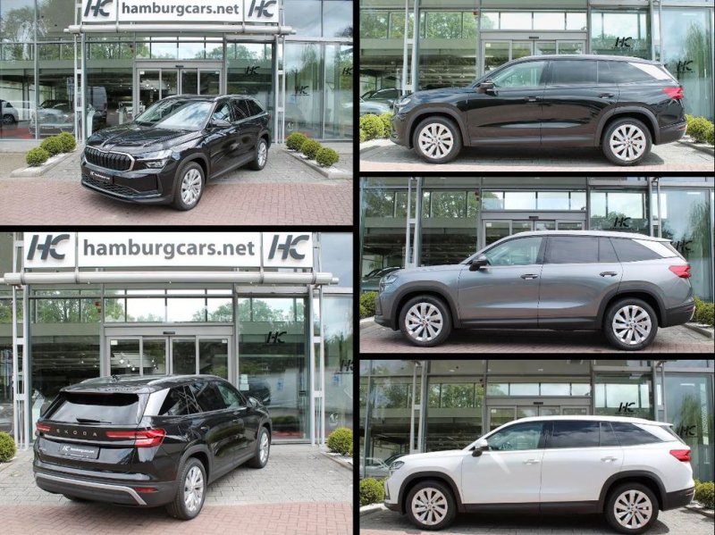 Skoda Kodiaq Selection 2.0TDI 4x4 DSG 13"Navi 19"Al...