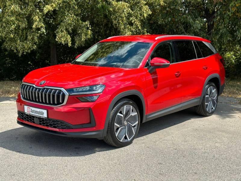 Skoda iV Exclusive Leder NAVI DCC eHK Matrix LM20"AHK