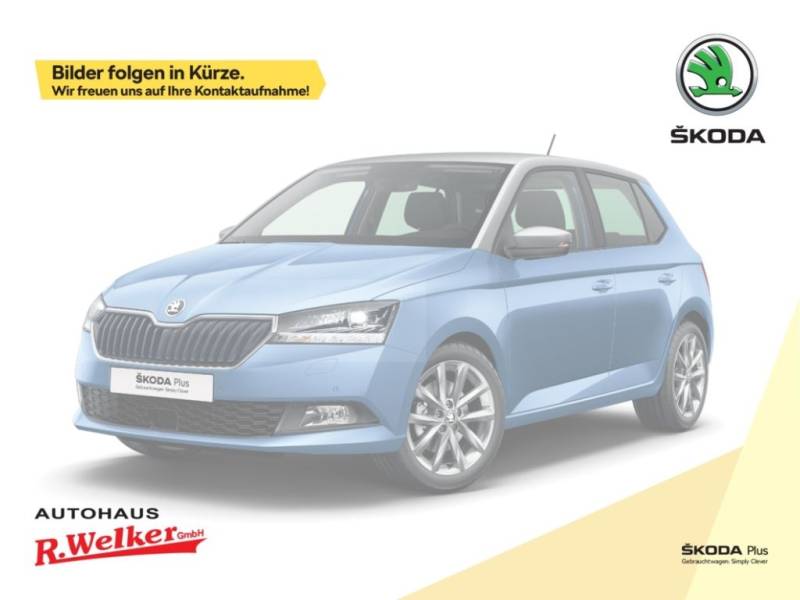 Skoda Fabia Sonderedition 130 ''Infotainment''Winter P