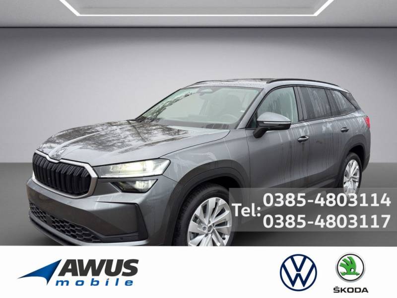 Skoda Kodiaq Selection 2,0 TDI 142 kW 7-Gang-DSG 4x4