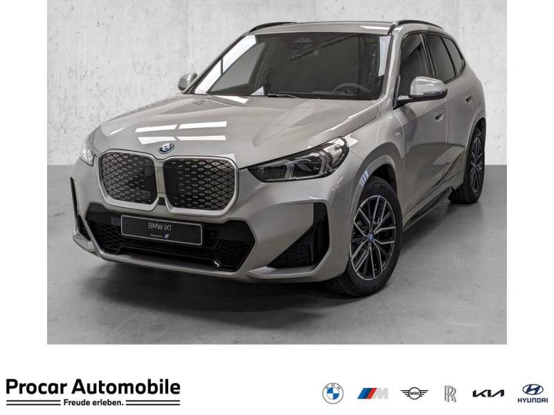 BMW iX1 xDrive30 M Sport / Curved Display / 499 € o.