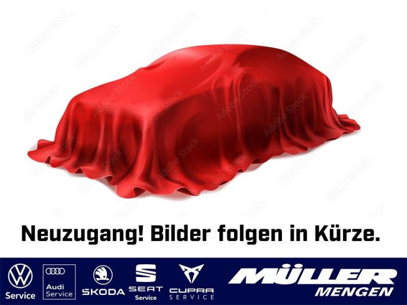 Skoda Kamiq Balance 1,5 TSI DSG Navi-AHK-ACC-el. Heckk