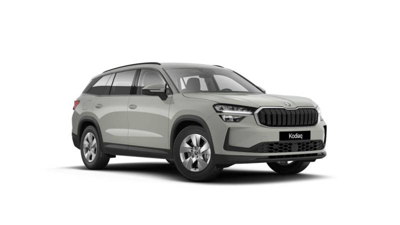 Skoda Kodiaq Selection ACC-AHK-RFK-LED-Carplay-Klim...